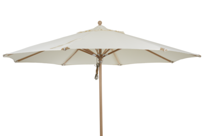 Parma parasol Natuurlijk